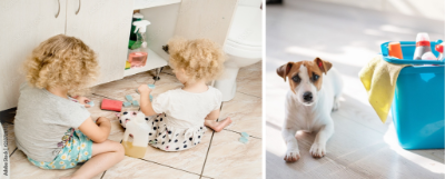 Cleaning products have harmful chemicals to children and pets
